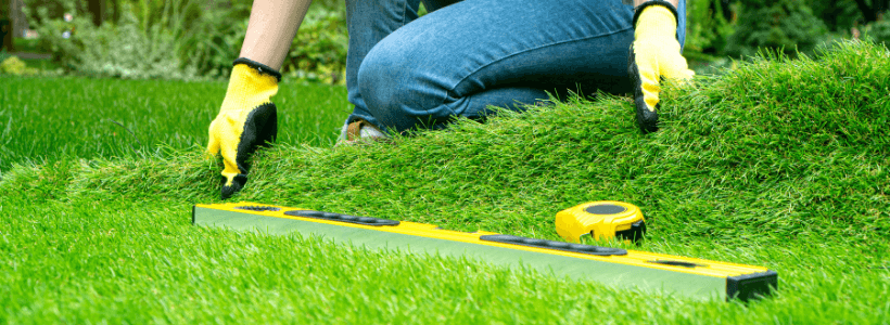 Turf Installation Mesa Az