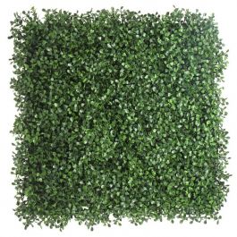 Boxwood Artificial Green Wall - Living Wall Panel 1m x 1m Coverage